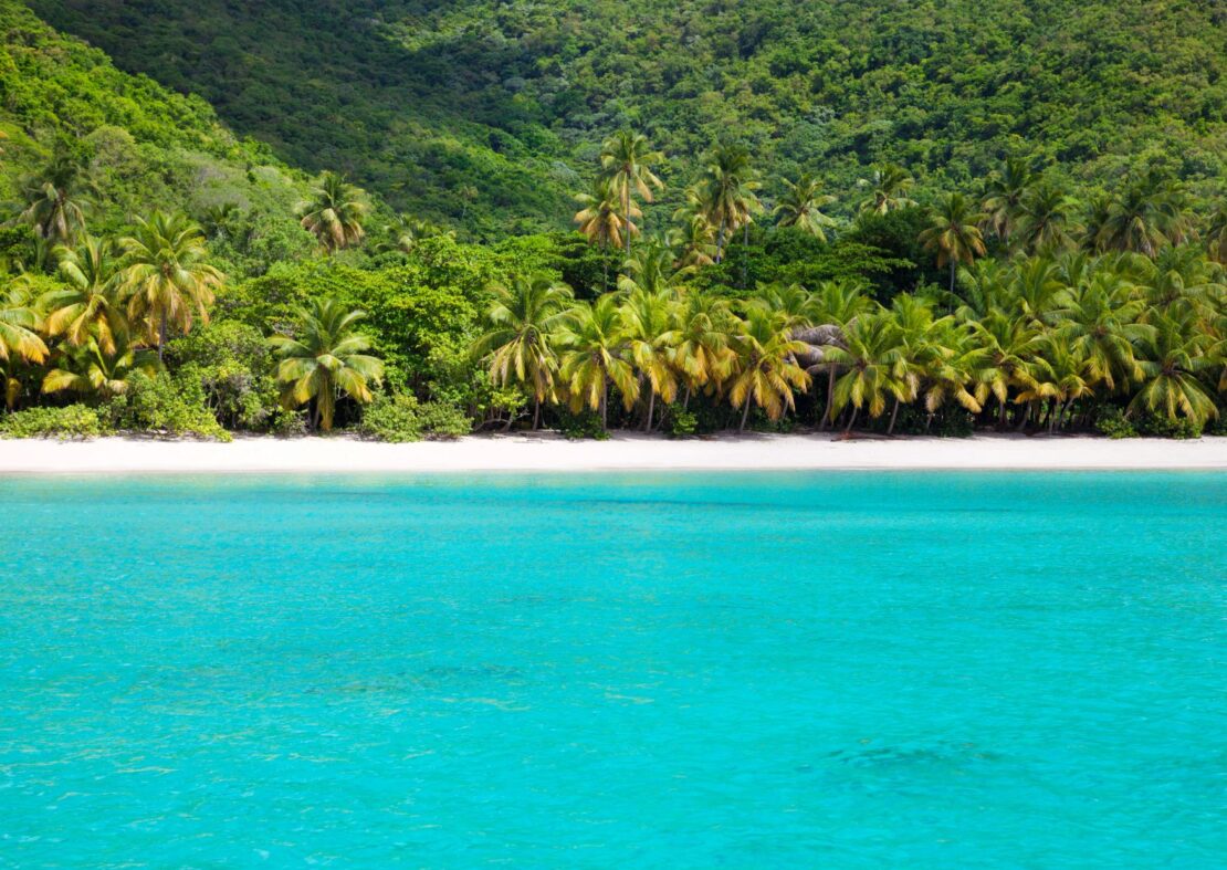 green sandy beach of Brewer’s Bay Beach in bvi 