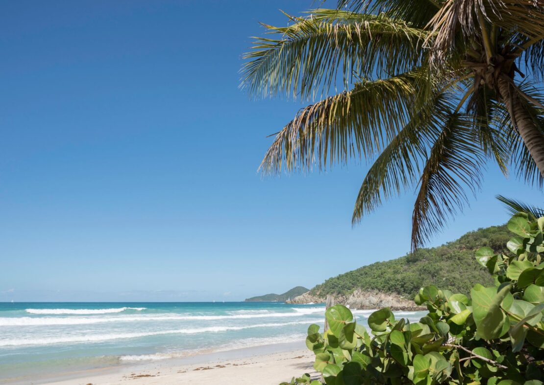 white sandy Long Bay Beach in the british virgin islands 