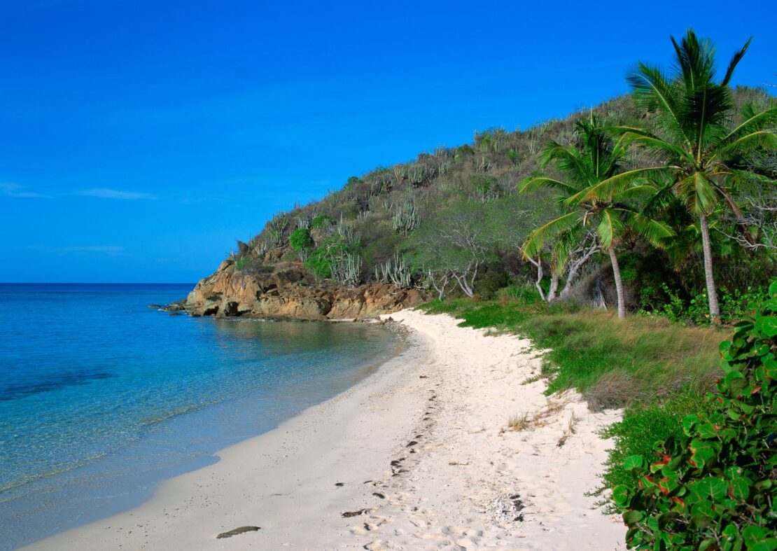 Cow Wreck Beach in the british virgin islands 