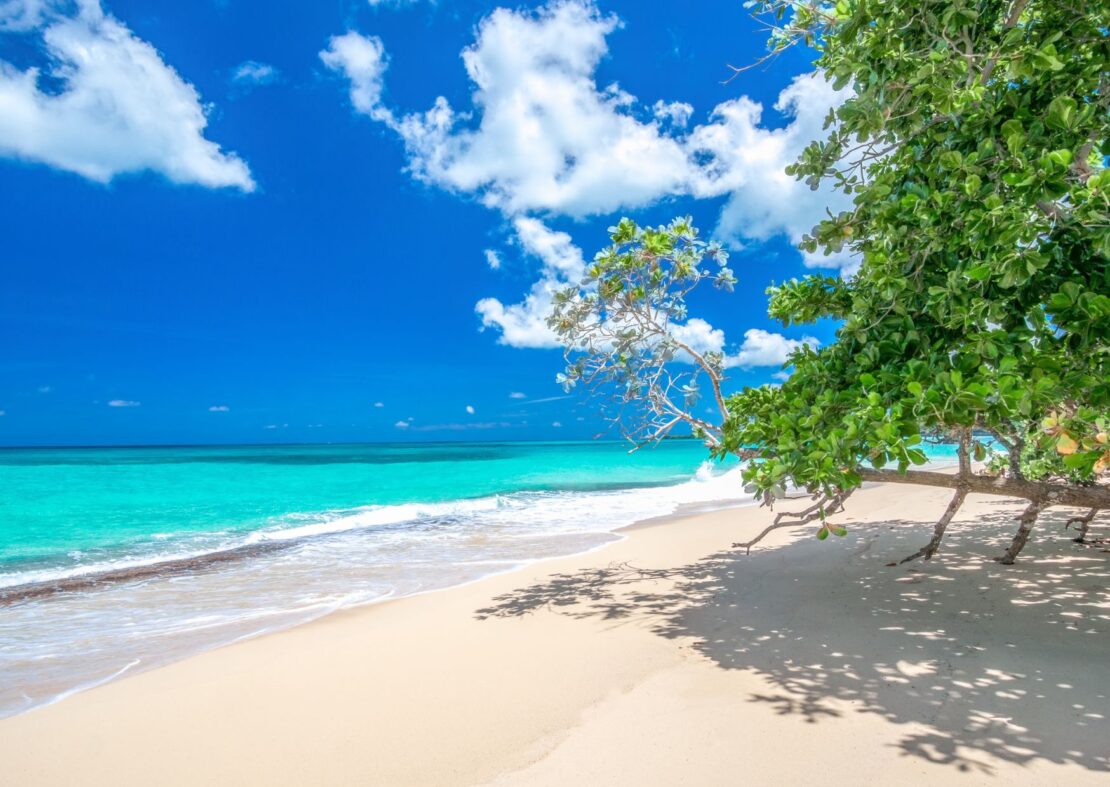 Playa Rincon beach in the Dominican republic 