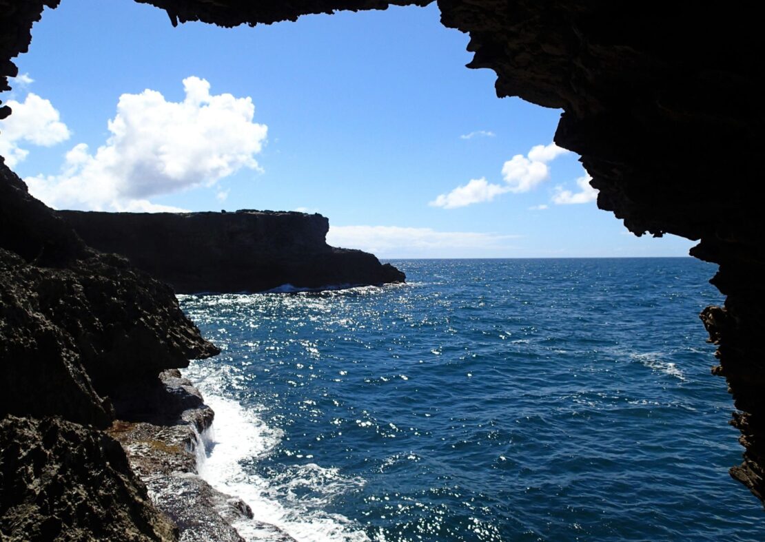 Animal Flower Cave barbados 