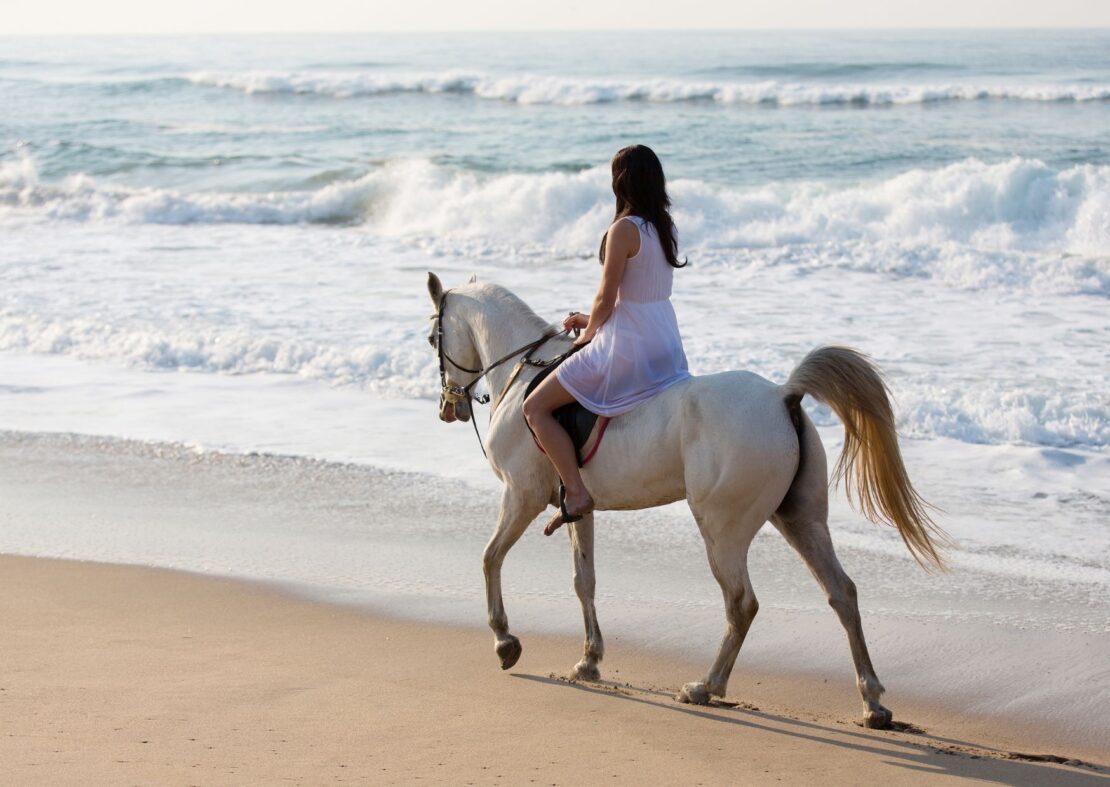 Horseback Riding on the Beach
