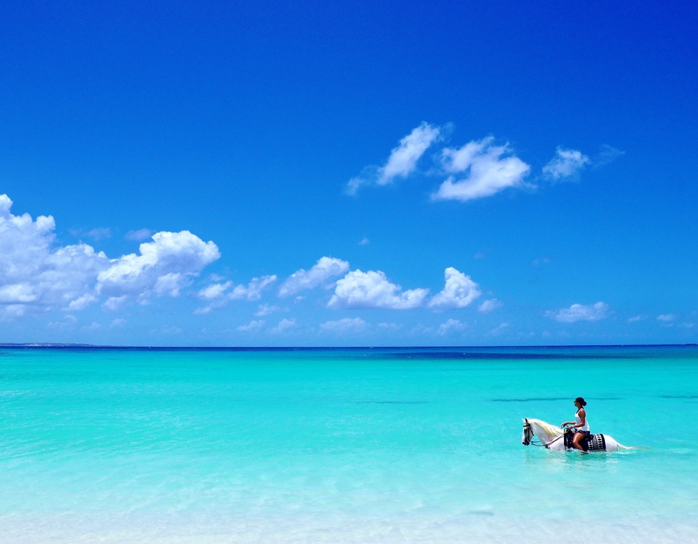  Horseback Riding Anguilla 