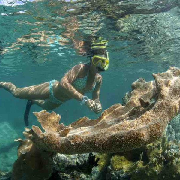 Snorkling on St John USVI