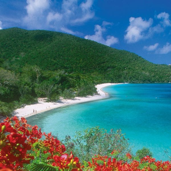 Trunk Bay St John USVI