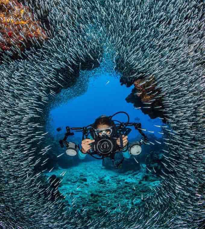 diving in the cayman islands