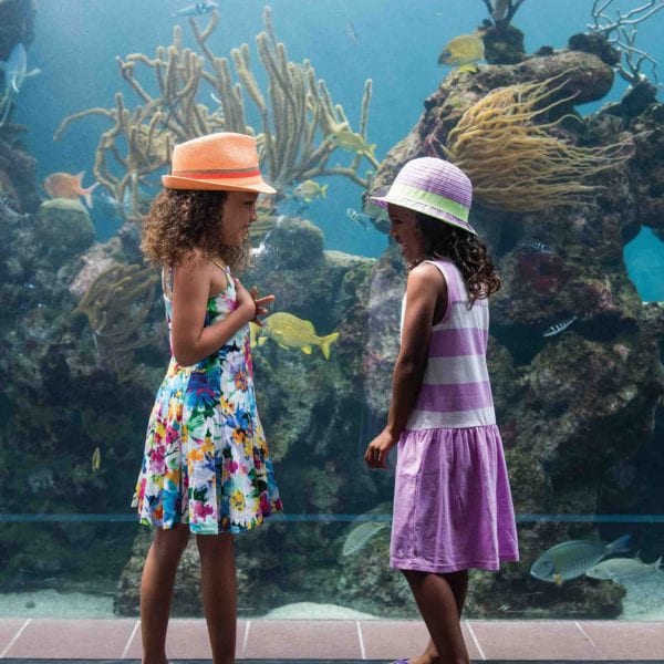 How to have an awesome family vacation in Bermuda