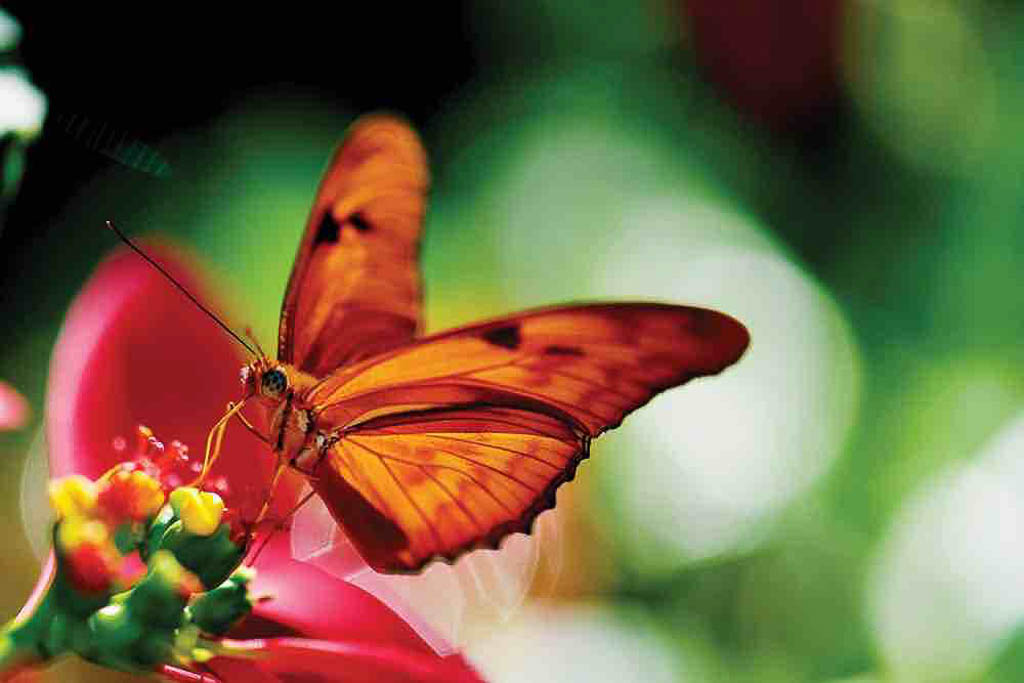 awesome things for kids to do on Aruba