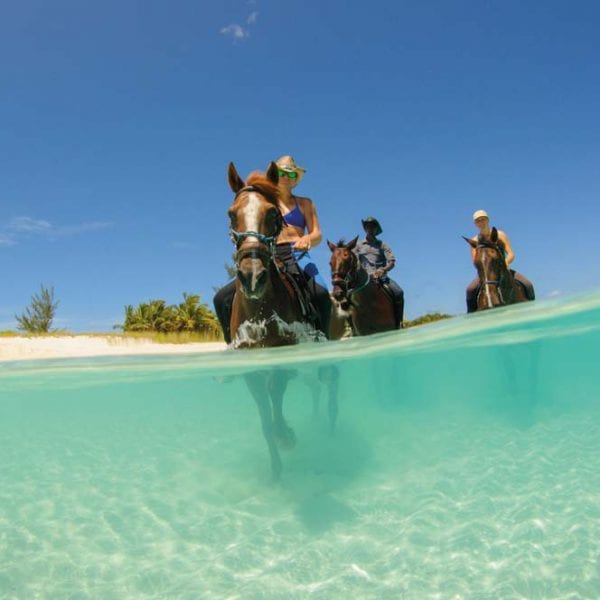 best things to do in Turks and Caicos