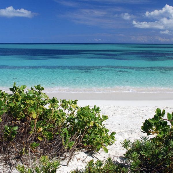 South Caicos - Turks and Caicos (1 of 1)-2