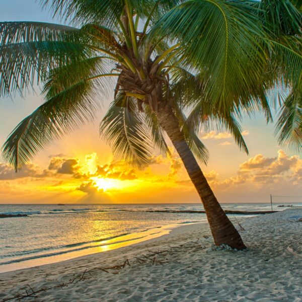 relaxing beaches in the dominican republic