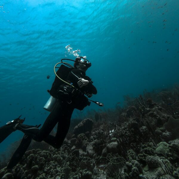 diving in grand cayman