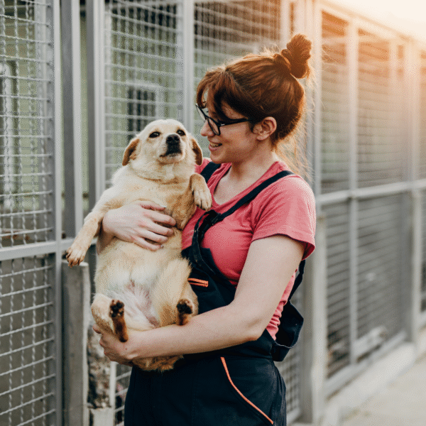 rent a dog day program